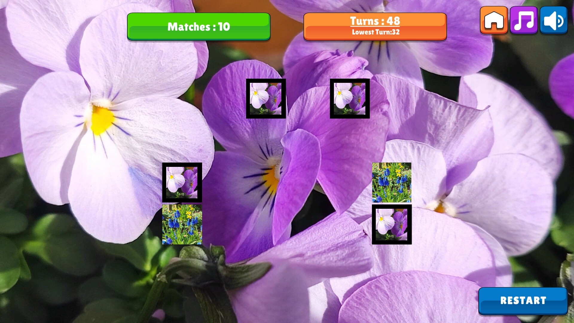 OG Memory: Spring 2K24 screenshot 6