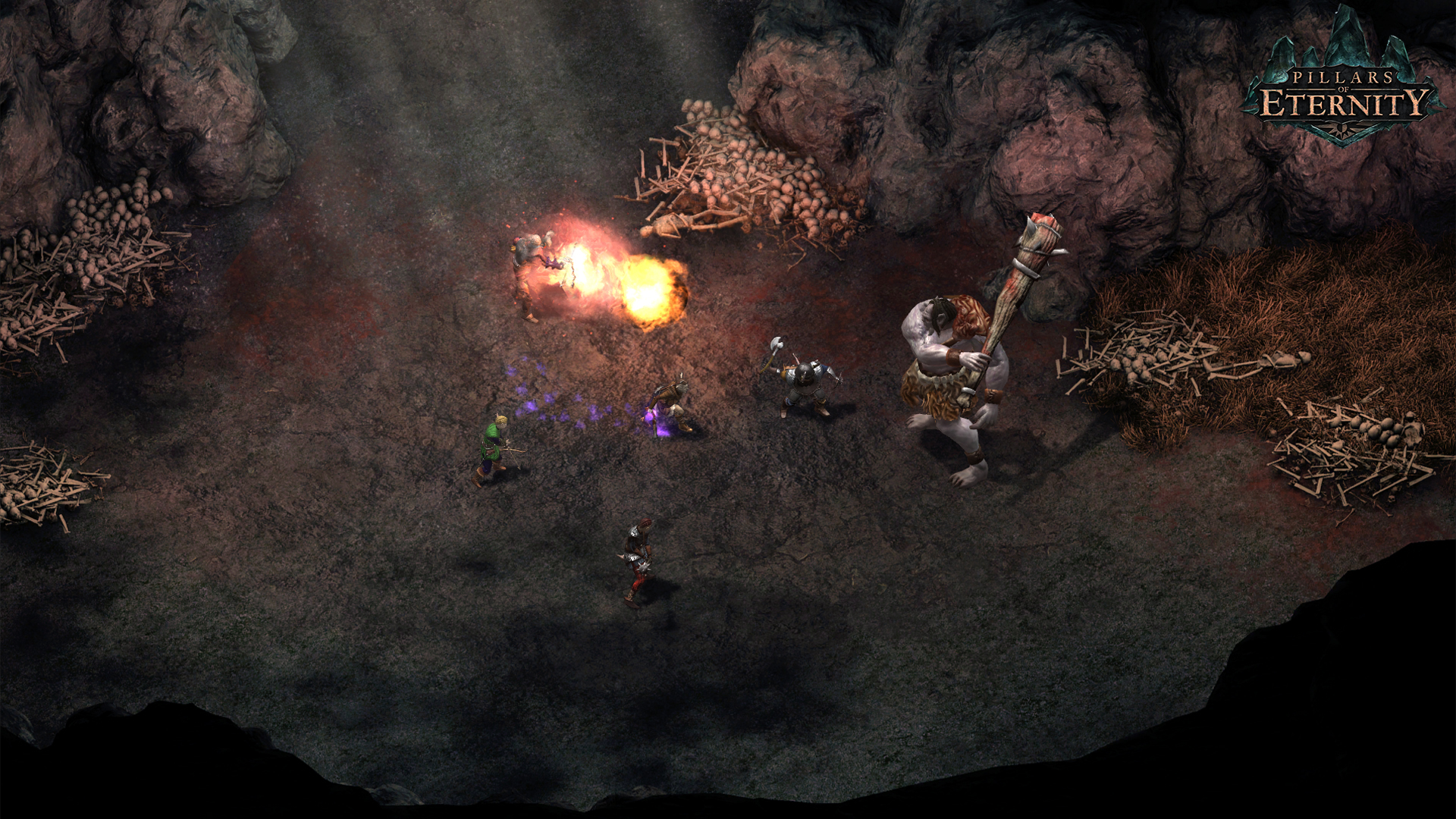 Pillars of Eternity — изображение 6