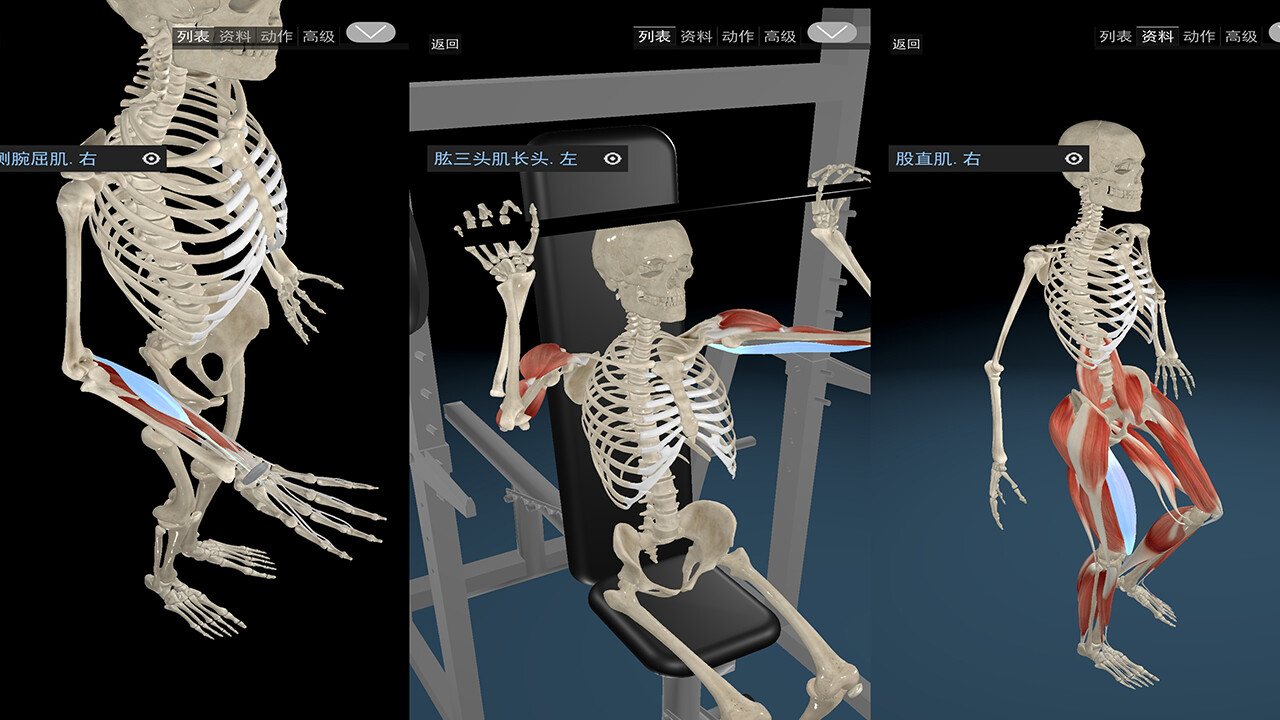 Kinetic Anatomy 3D screenshot 6