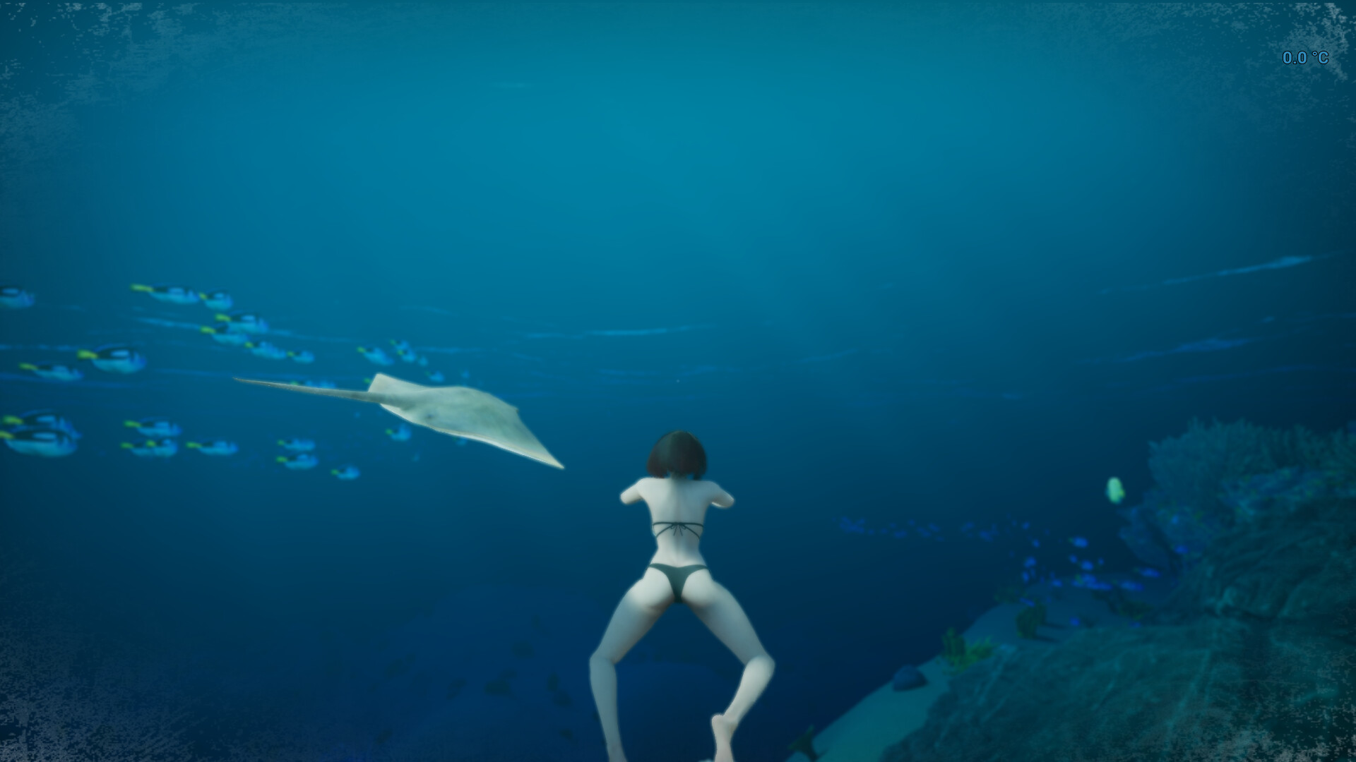 Shallow Sea Roaming screenshot 6