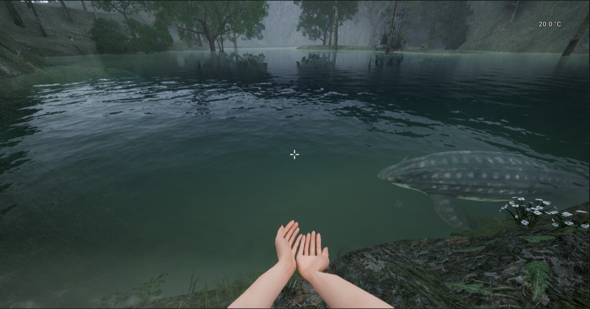 Shallow Sea Roaming screenshot 24