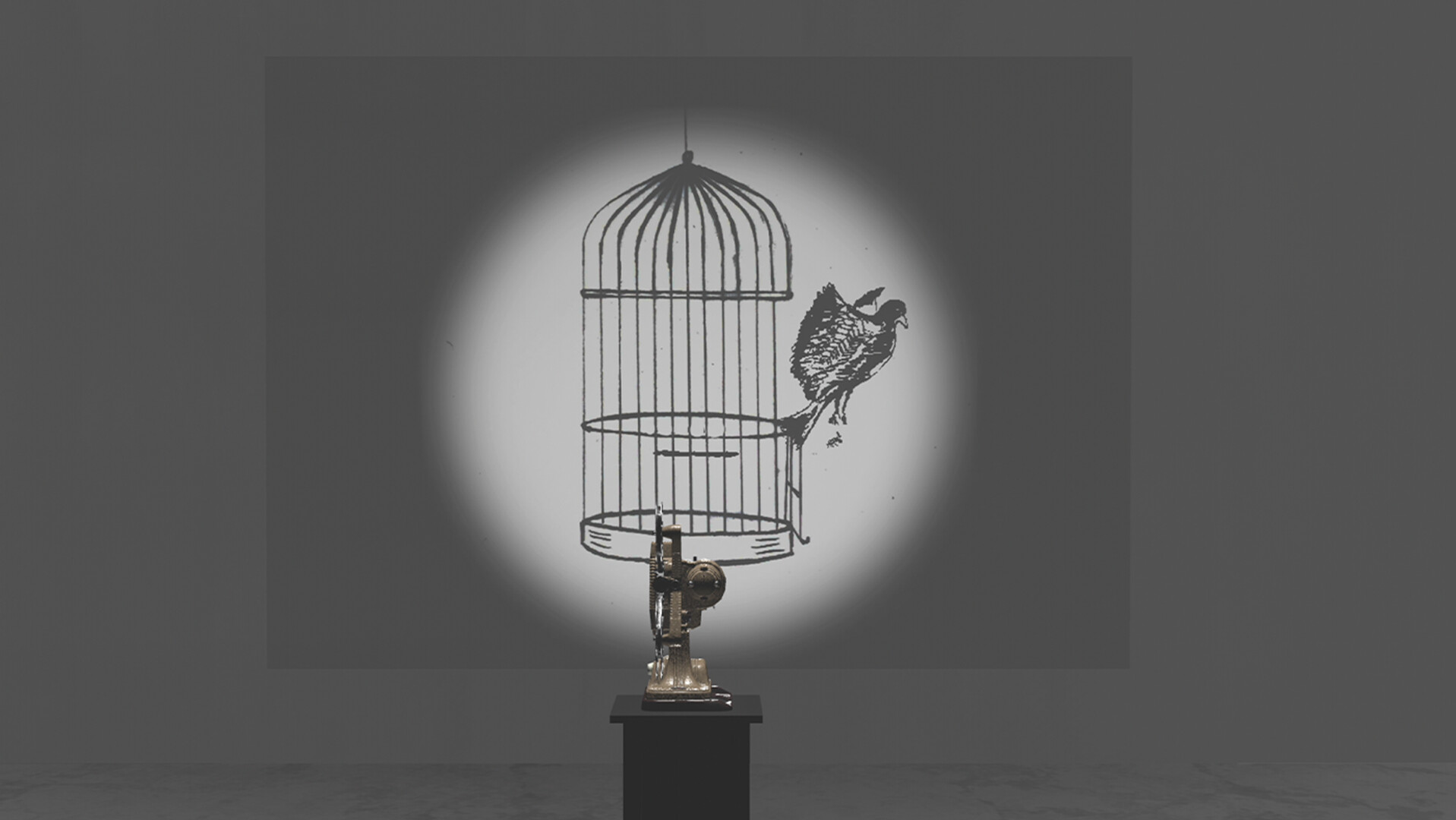 Bird screenshot 10