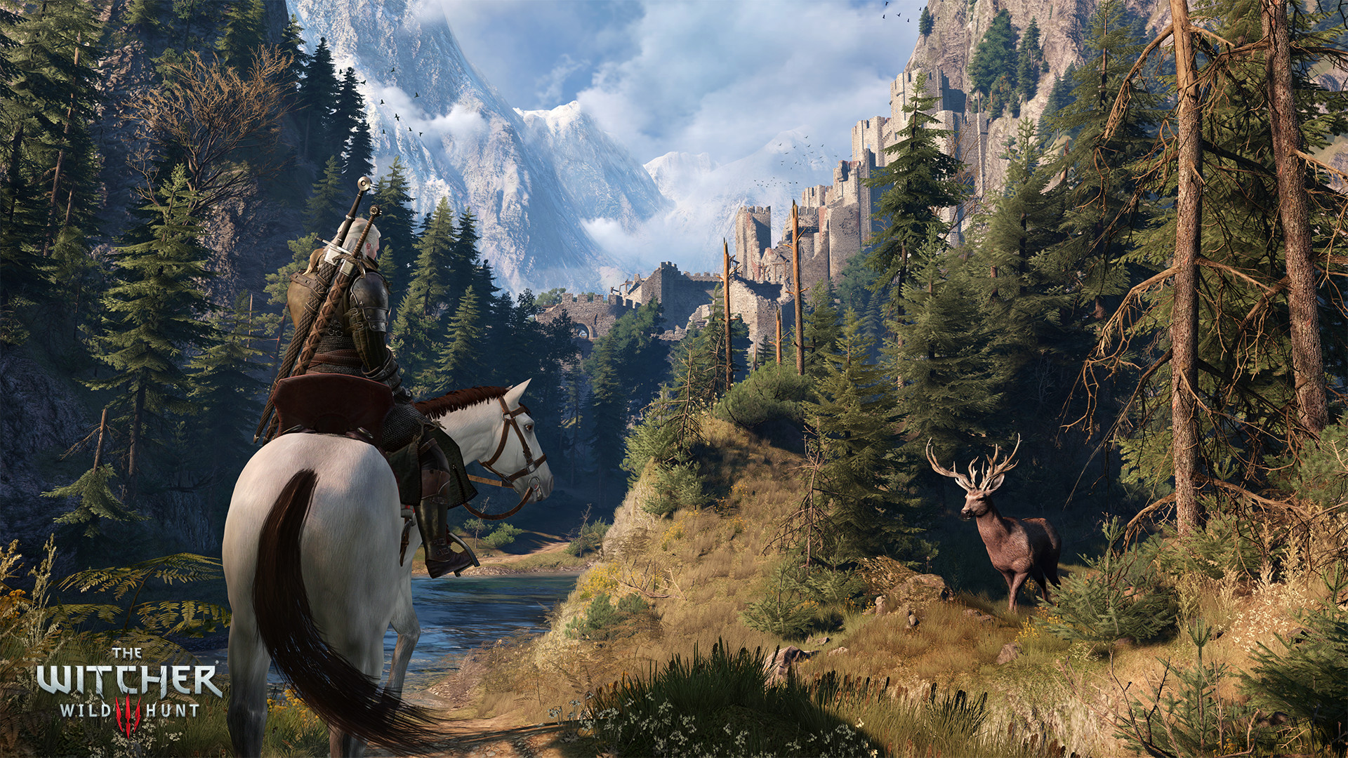 The Witcher 3: Wild Hunt screenshot 13