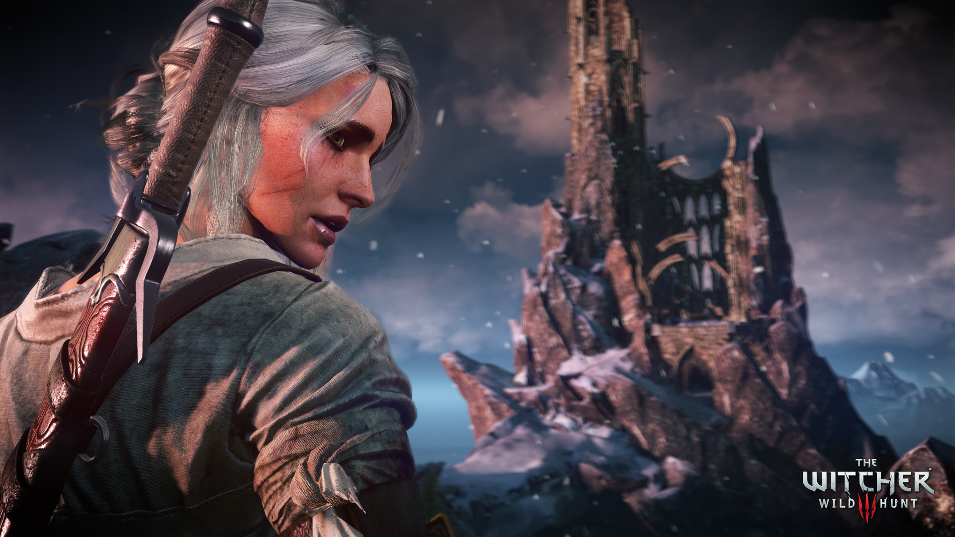 The Witcher 3: Wild Hunt screenshot 5