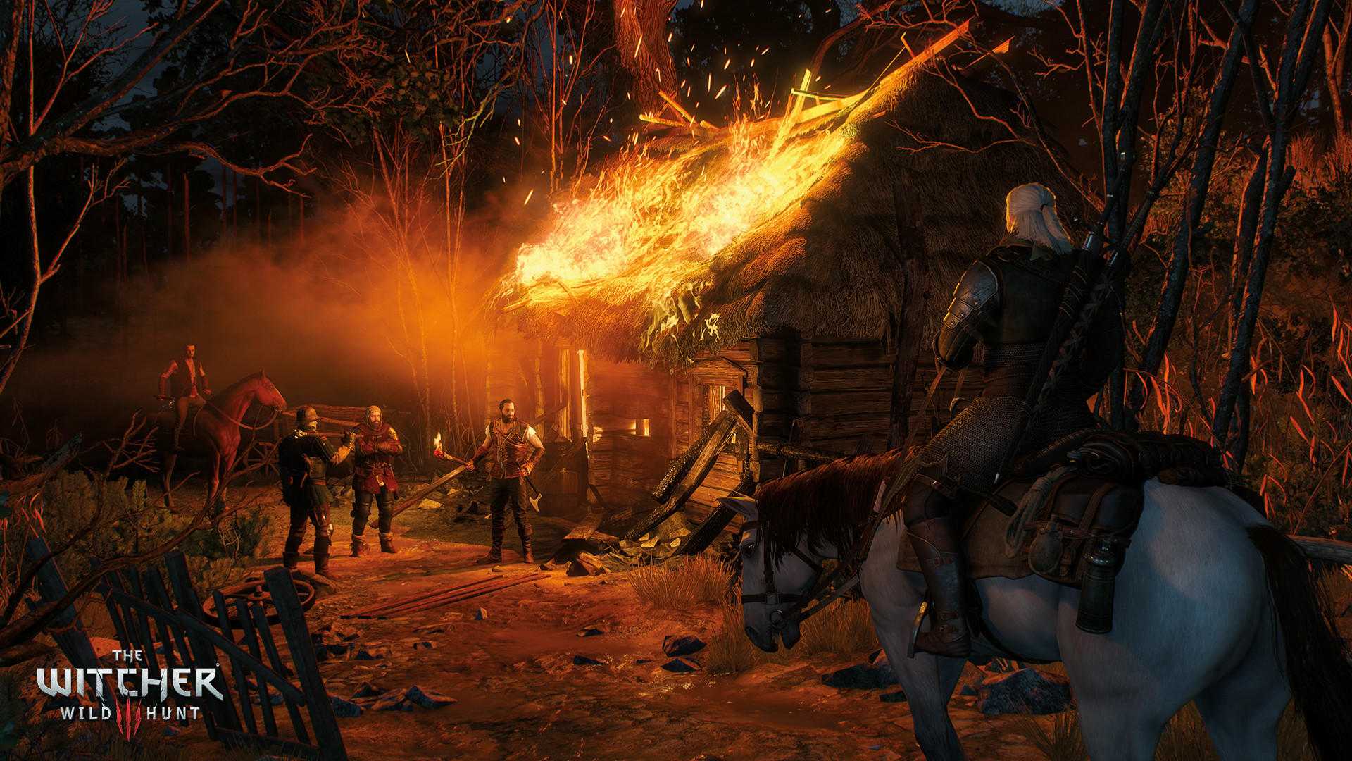 The Witcher 3: Wild Hunt screenshot 11