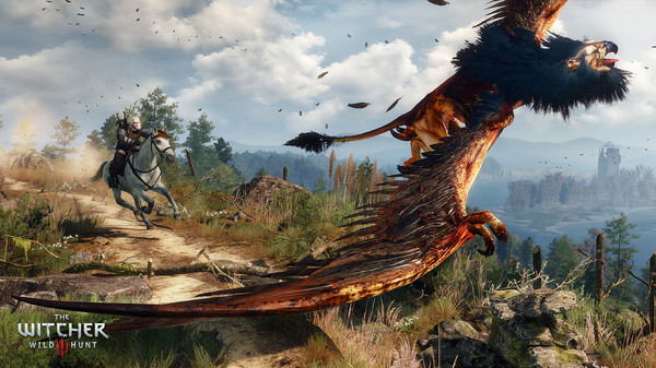The Witcher 3: Wild Hunt 6