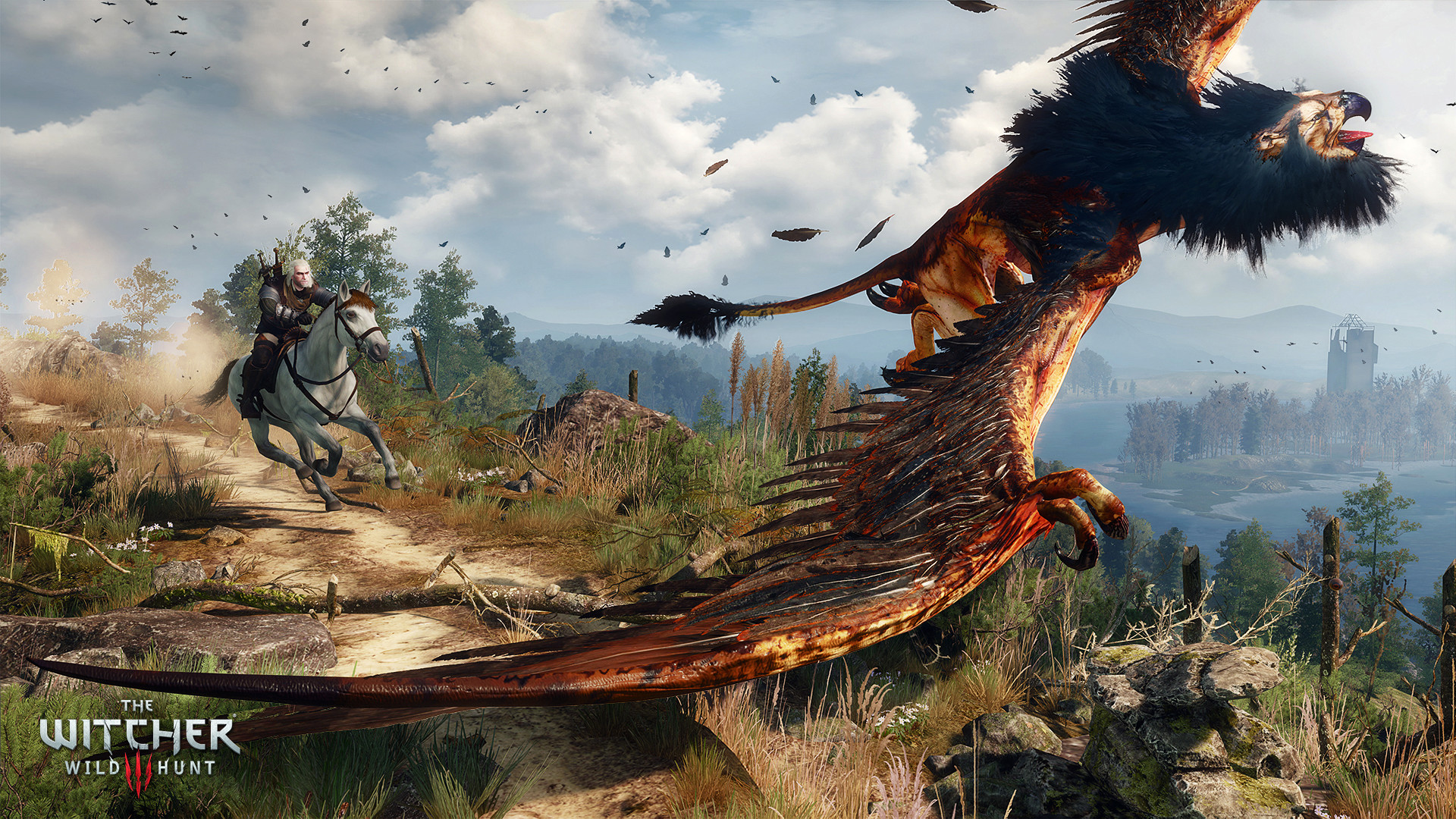 The Witcher 3: Wild Hunt screenshot 6