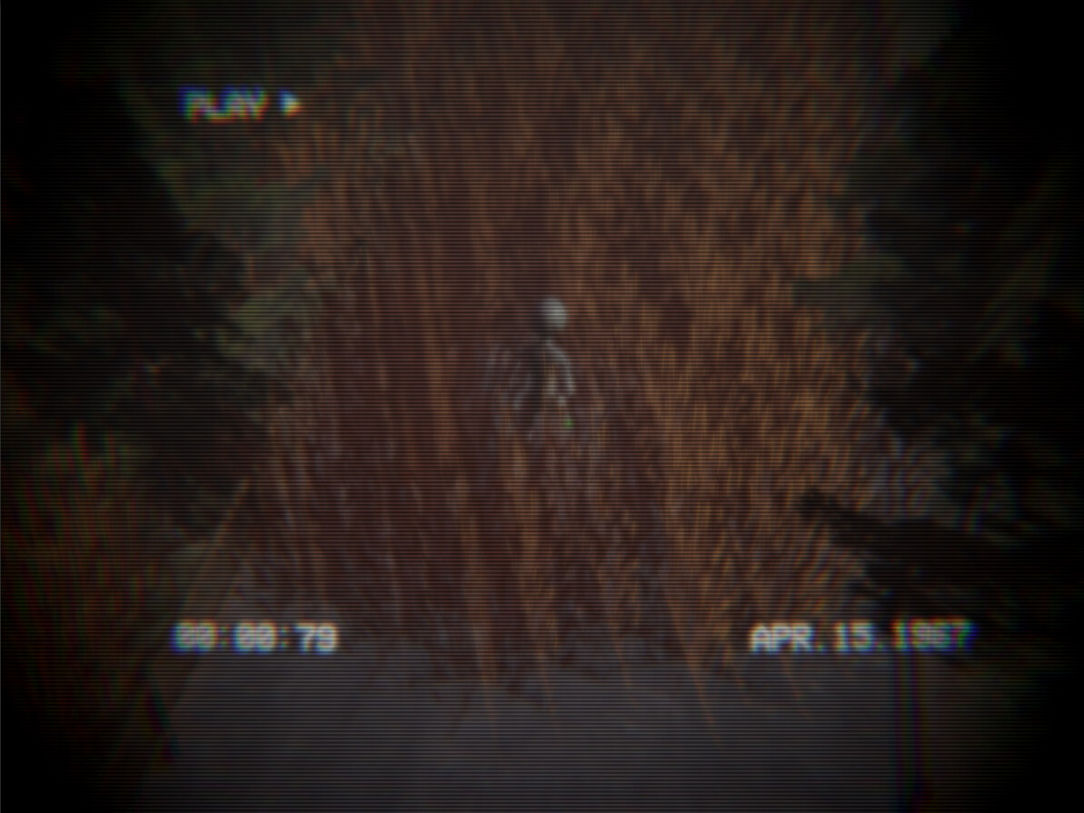 Homing Instinct screenshot 5