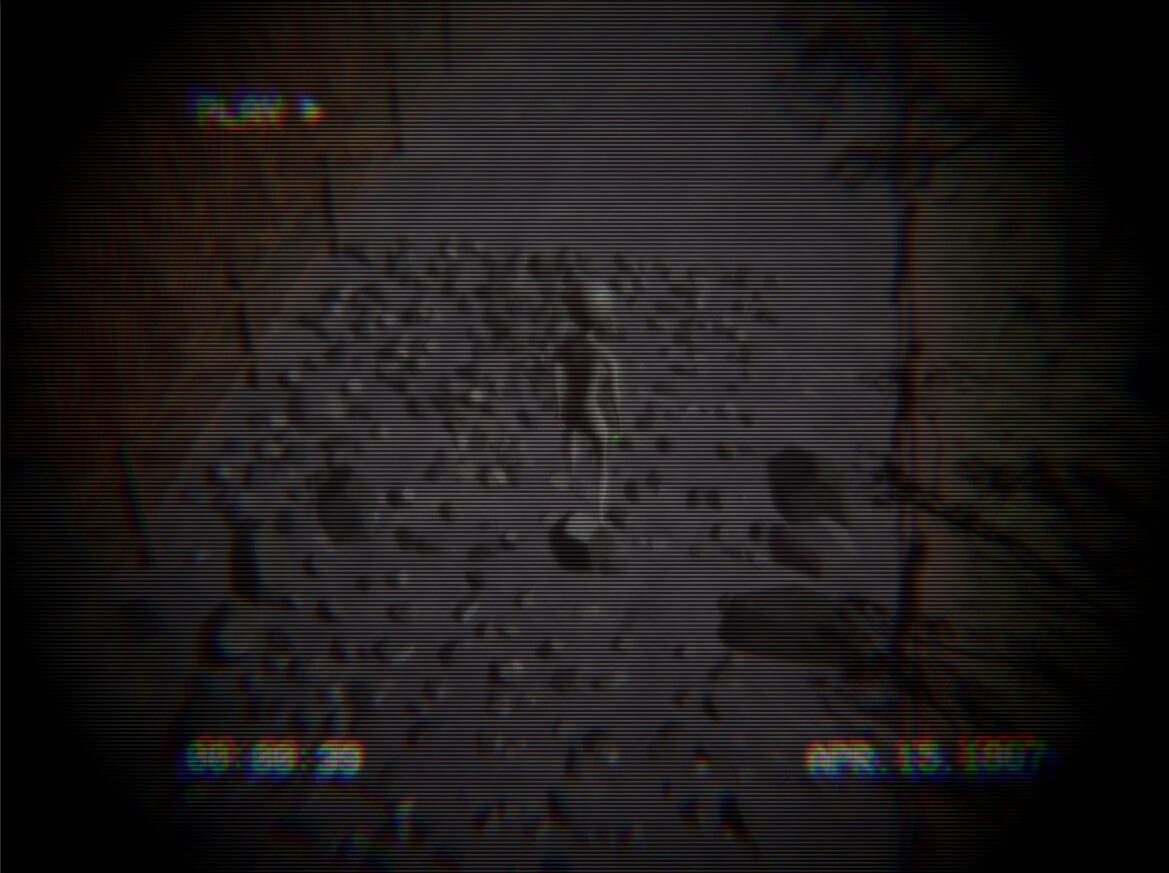 Homing Instinct screenshot 3