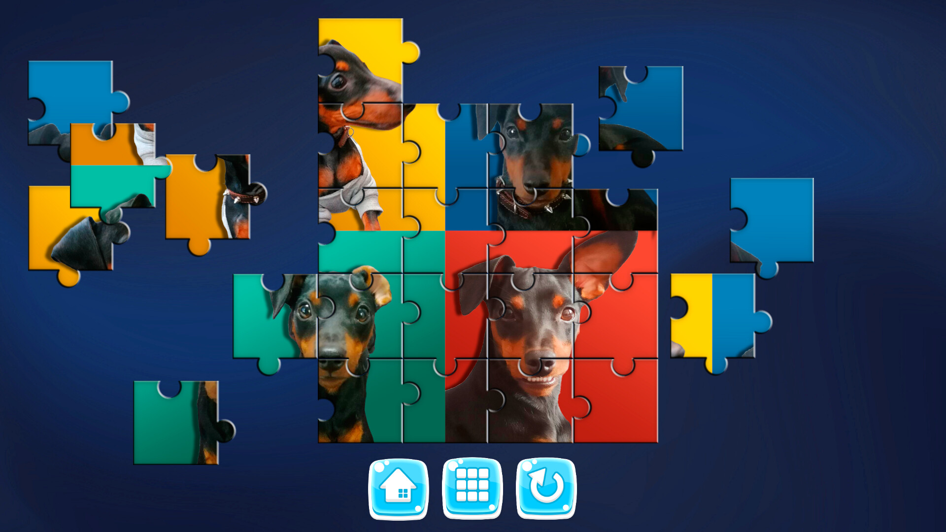 MY DOG! screenshot 1