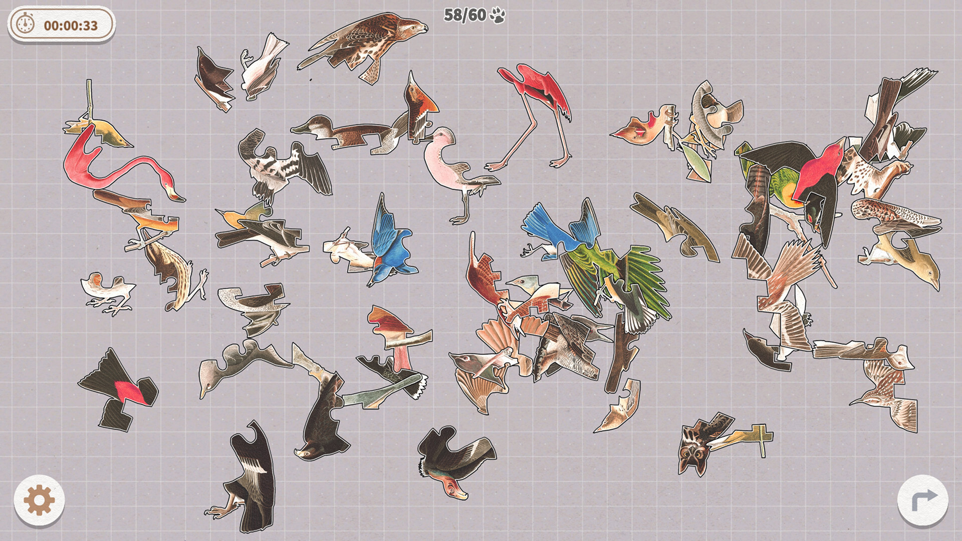 Brids Huddled Together screenshot 11