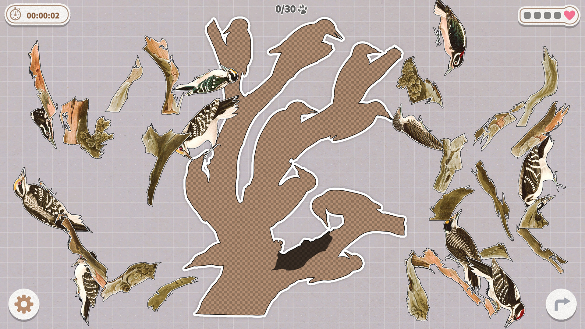 Brids Huddled Together screenshot 7