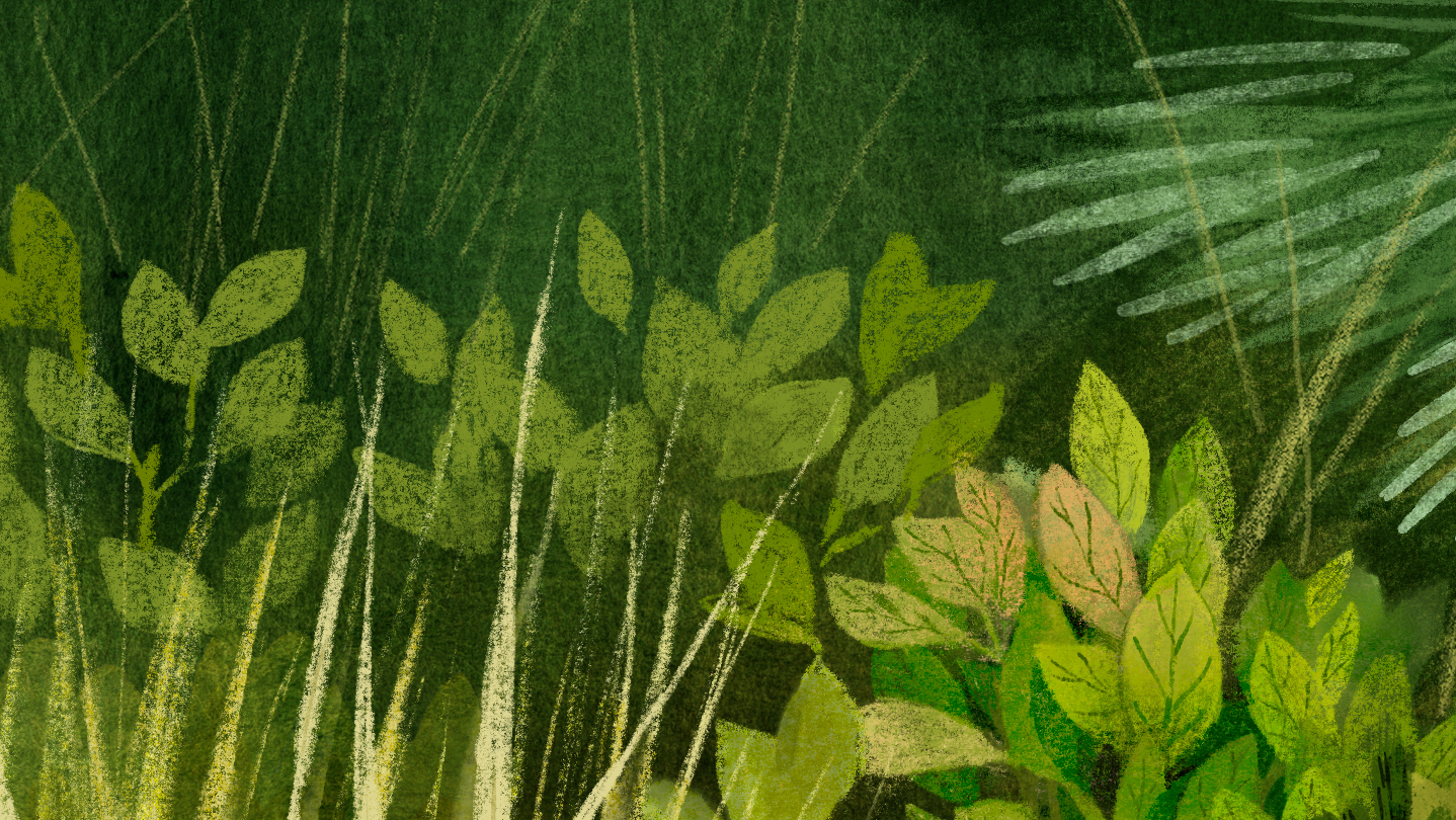 Tukoni: Forest Keepers cover art