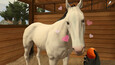 A screenshot of Rival Stars Horse Racing: VR Edition