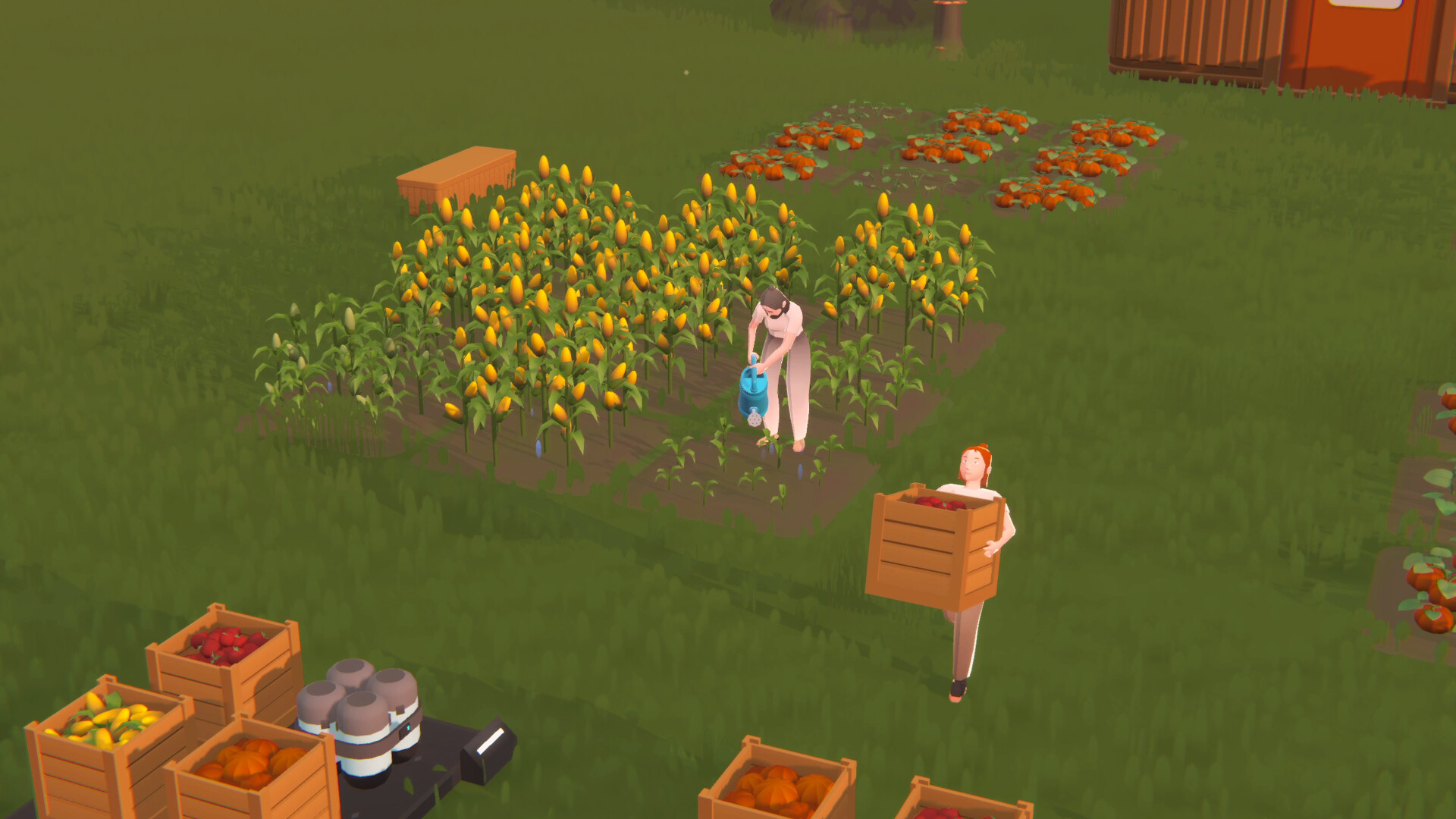 SEED screenshot 5