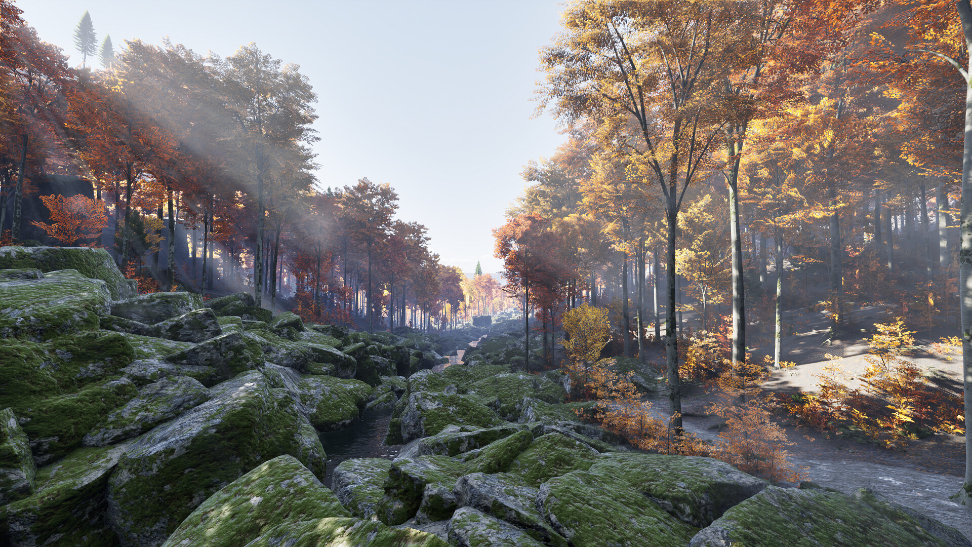 Prologue: Go Wayback! 4