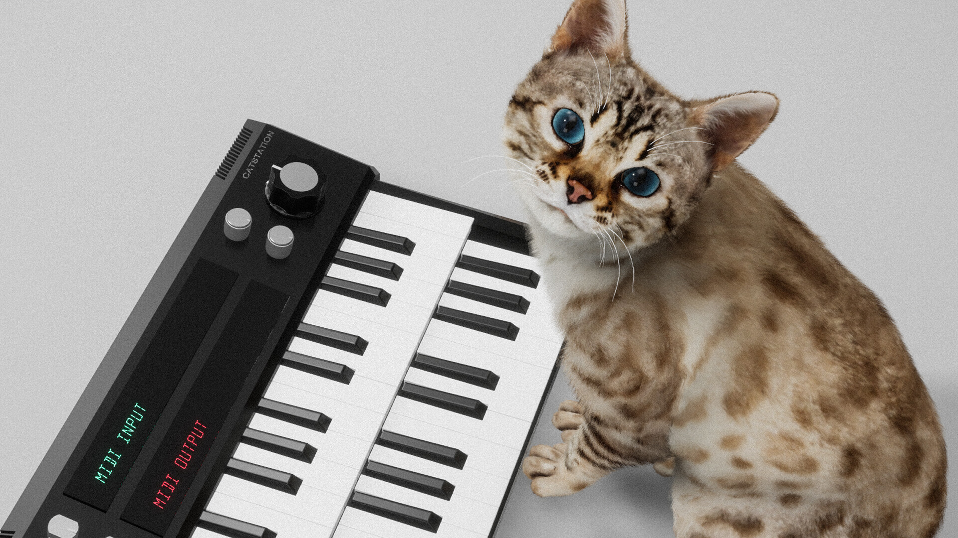 Meowstro screenshot 7