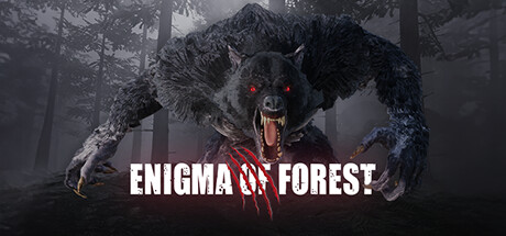 Enigma Of Forest: Titelbild
