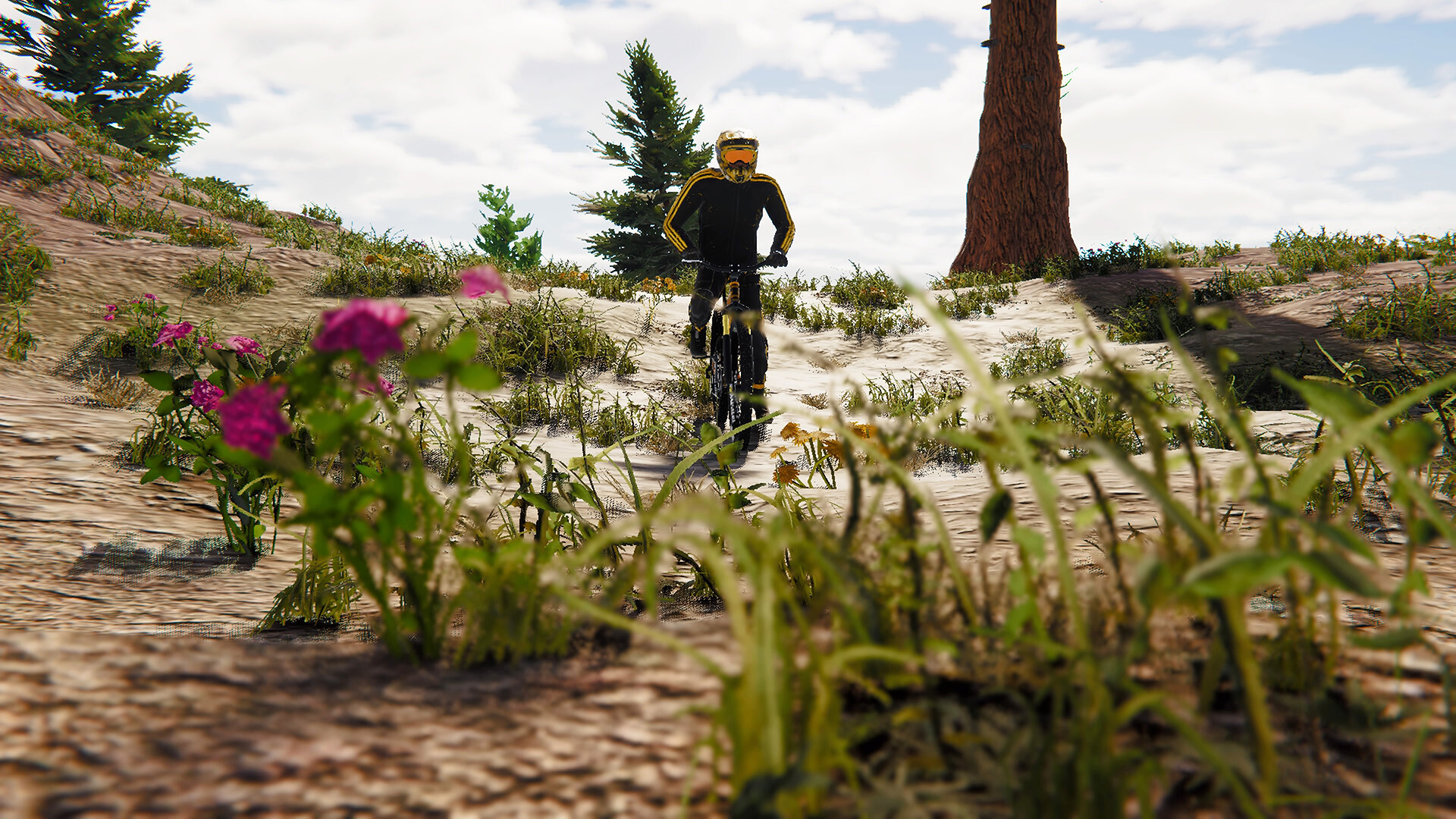 BMX Wild Run screenshot 2