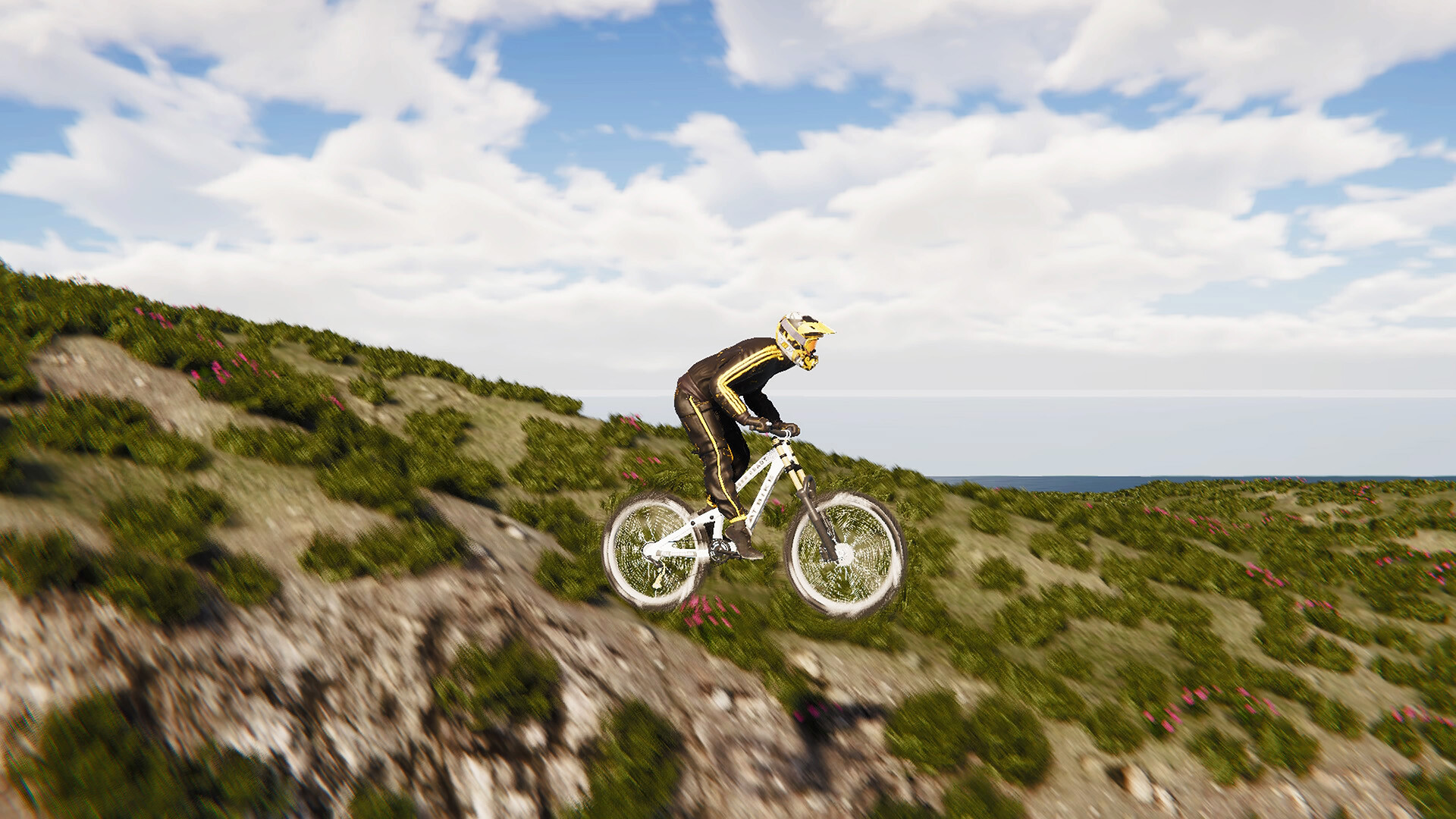 BMX Wild Run screenshot 1
