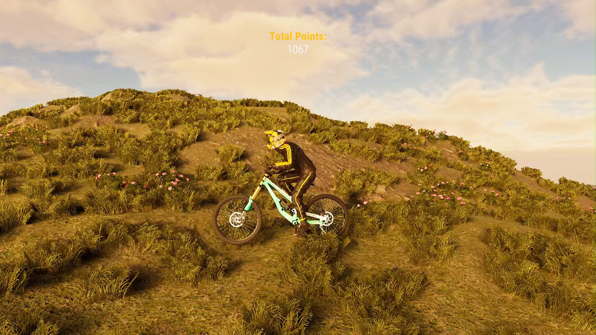 BMX Wild Run screenshot 10