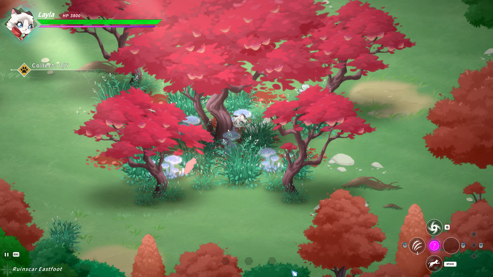 Sleepy Cat screenshot 14