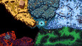 A screenshot of Guards II: Chaos in Hell
