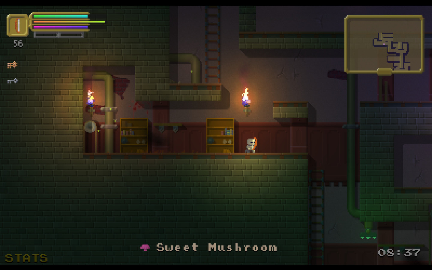 The Dungeoning screenshot 6