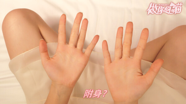 图片[3]-做你的猫/BeYourCat|Build.15705240|中文版免费下载 - 小镇青年游戏社-小镇青年游戏社