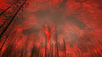 Screenshot #5