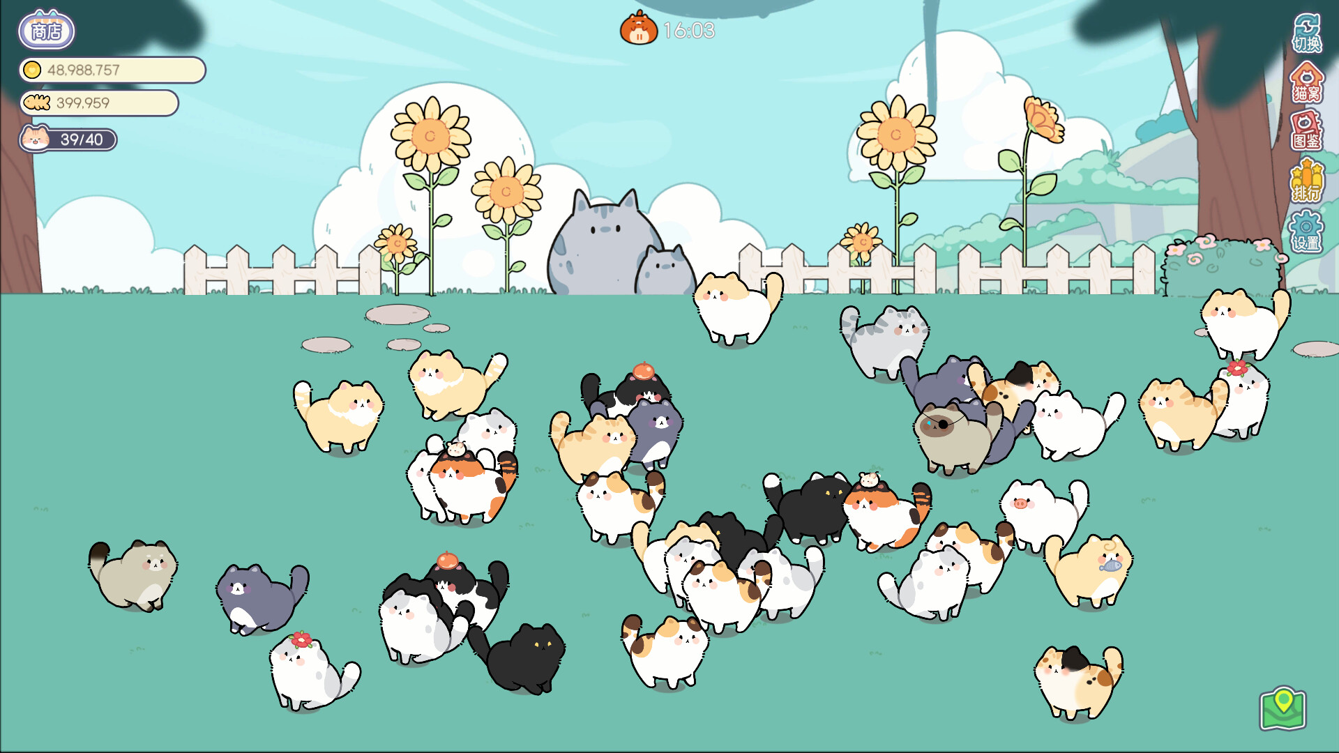 猫语拾光 Cat And Life screenshot 1