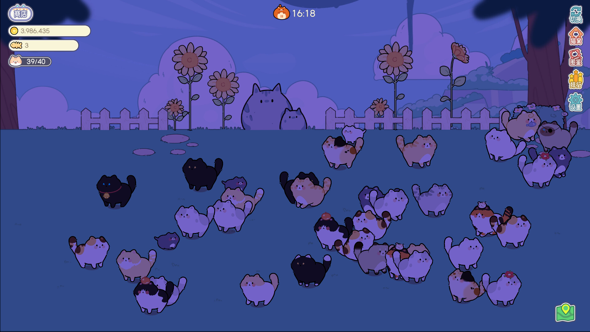 猫语拾光 Cat And Life screenshot 2