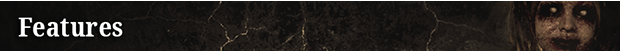 Features.png