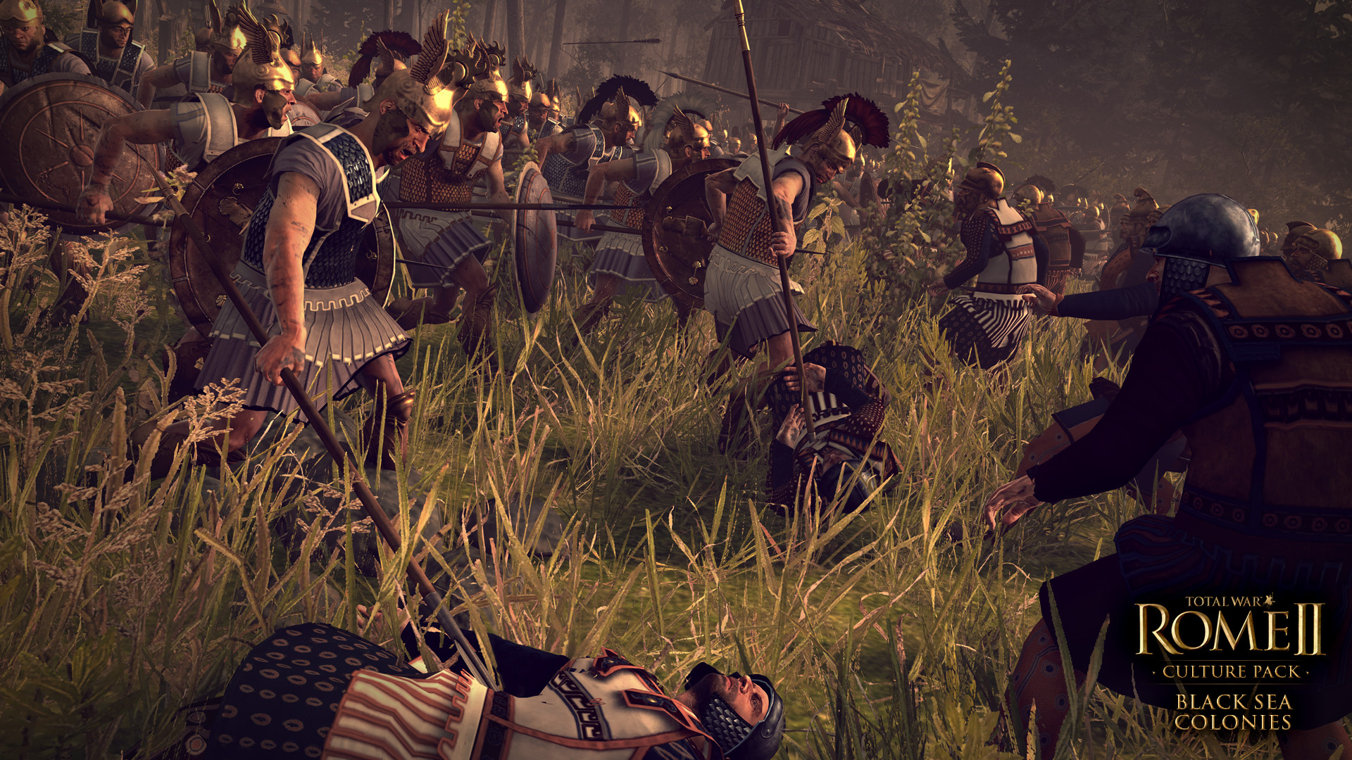Total War: ROME II - Black Sea Colonies Culture Pack screenshot 4