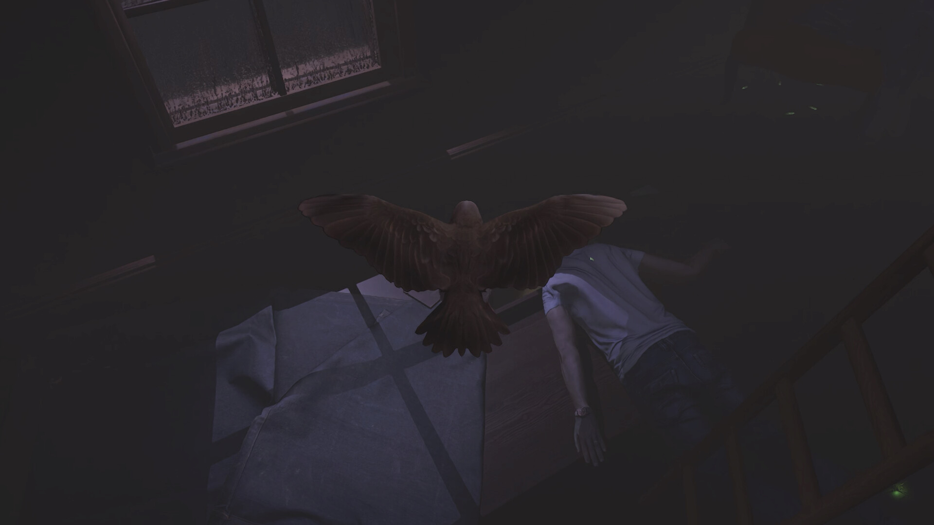 Sparrow screenshot 6