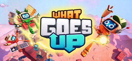 What Goes Up