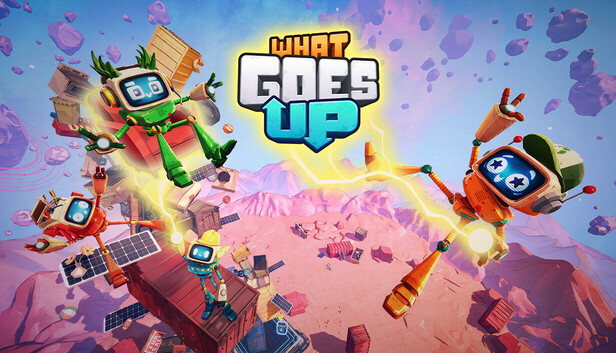 What Goes Up