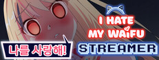 내 와이프 스트리머가 싫어