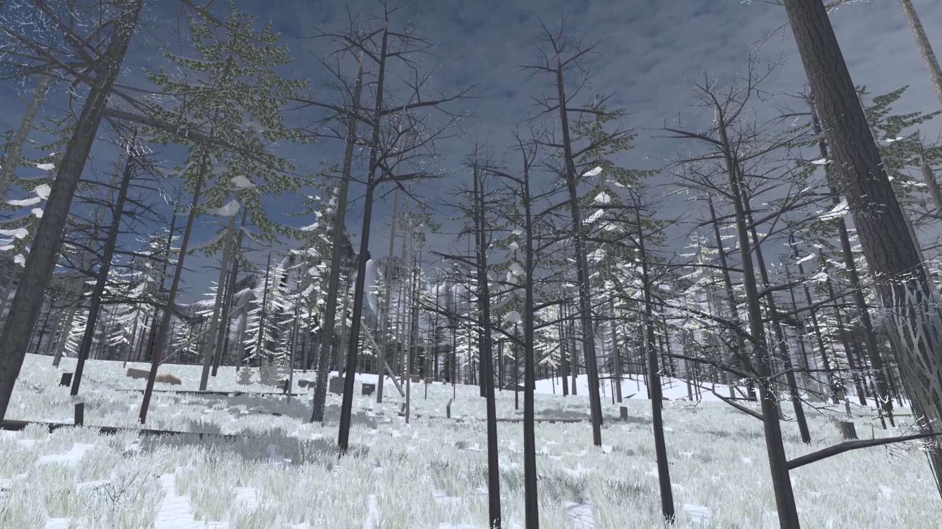 Forest Construction VR screenshot 10