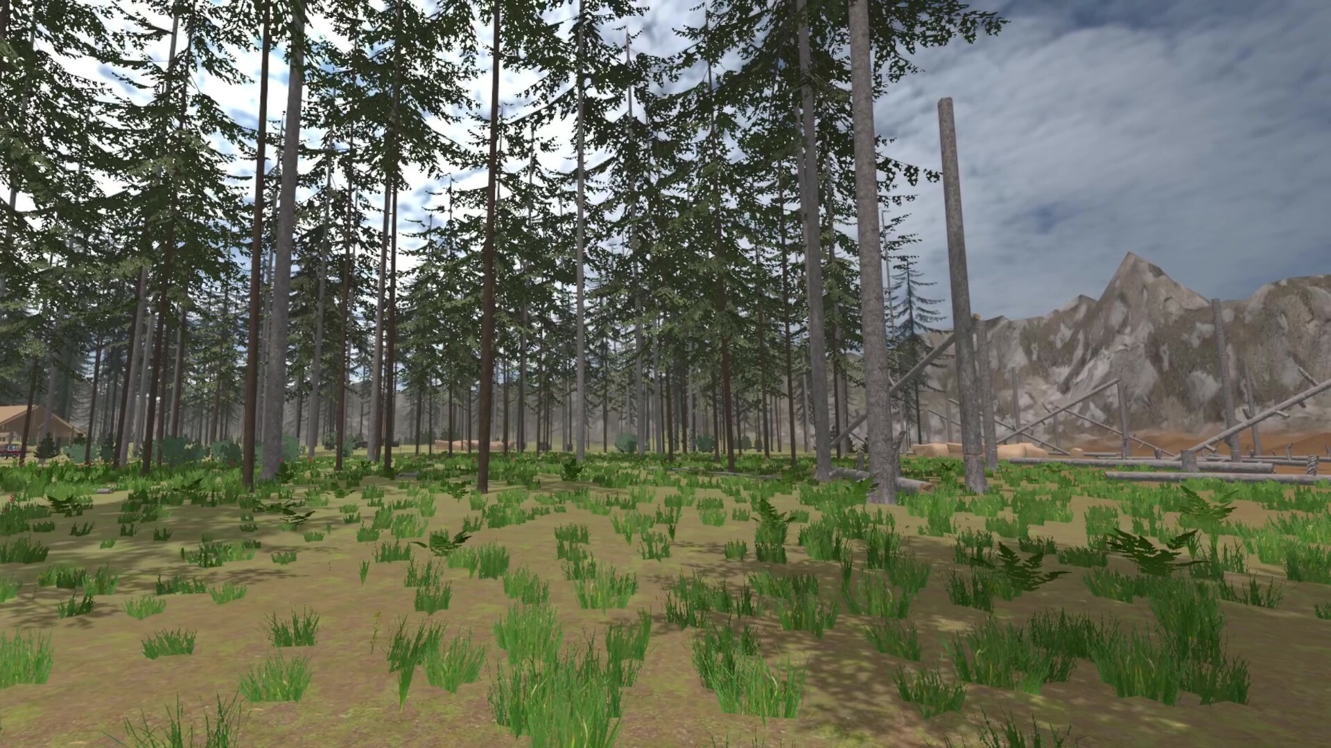 Forest Construction VR on Steam