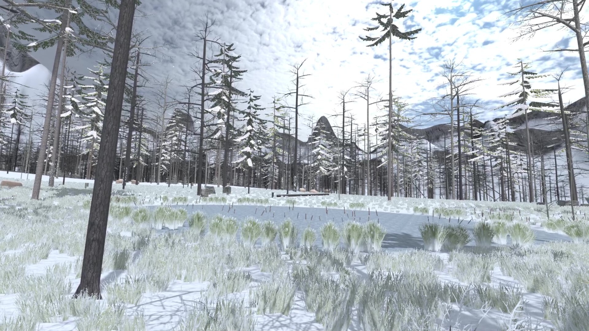Forest Construction VR screenshot 16