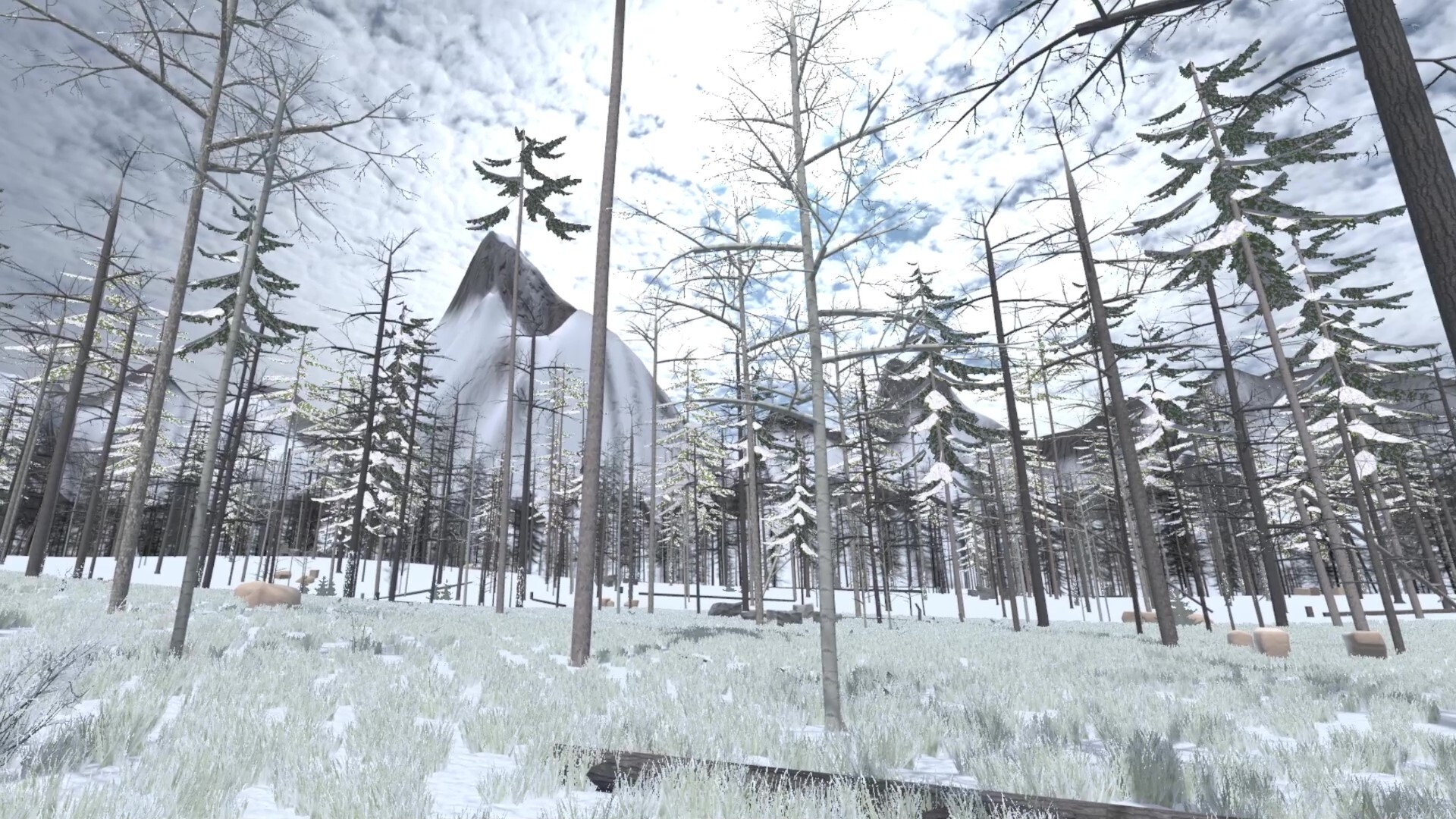 Forest Construction VR screenshot 13