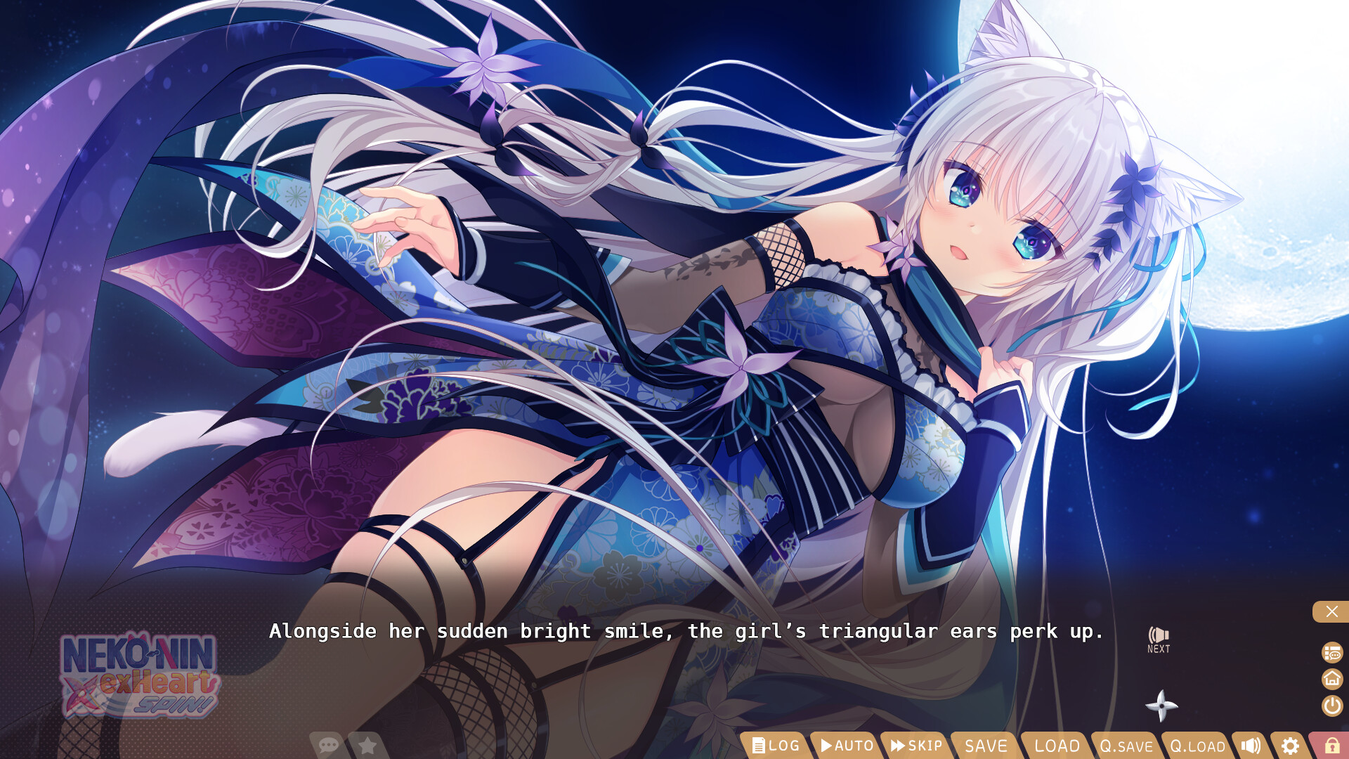 NEKO-NIN exHeart SPIN! Screenshots · SteamDB