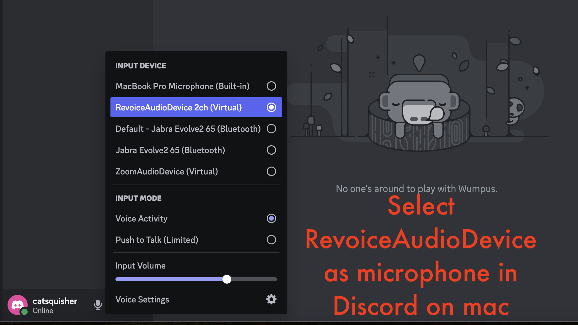 RevoiceLive screenshot 5