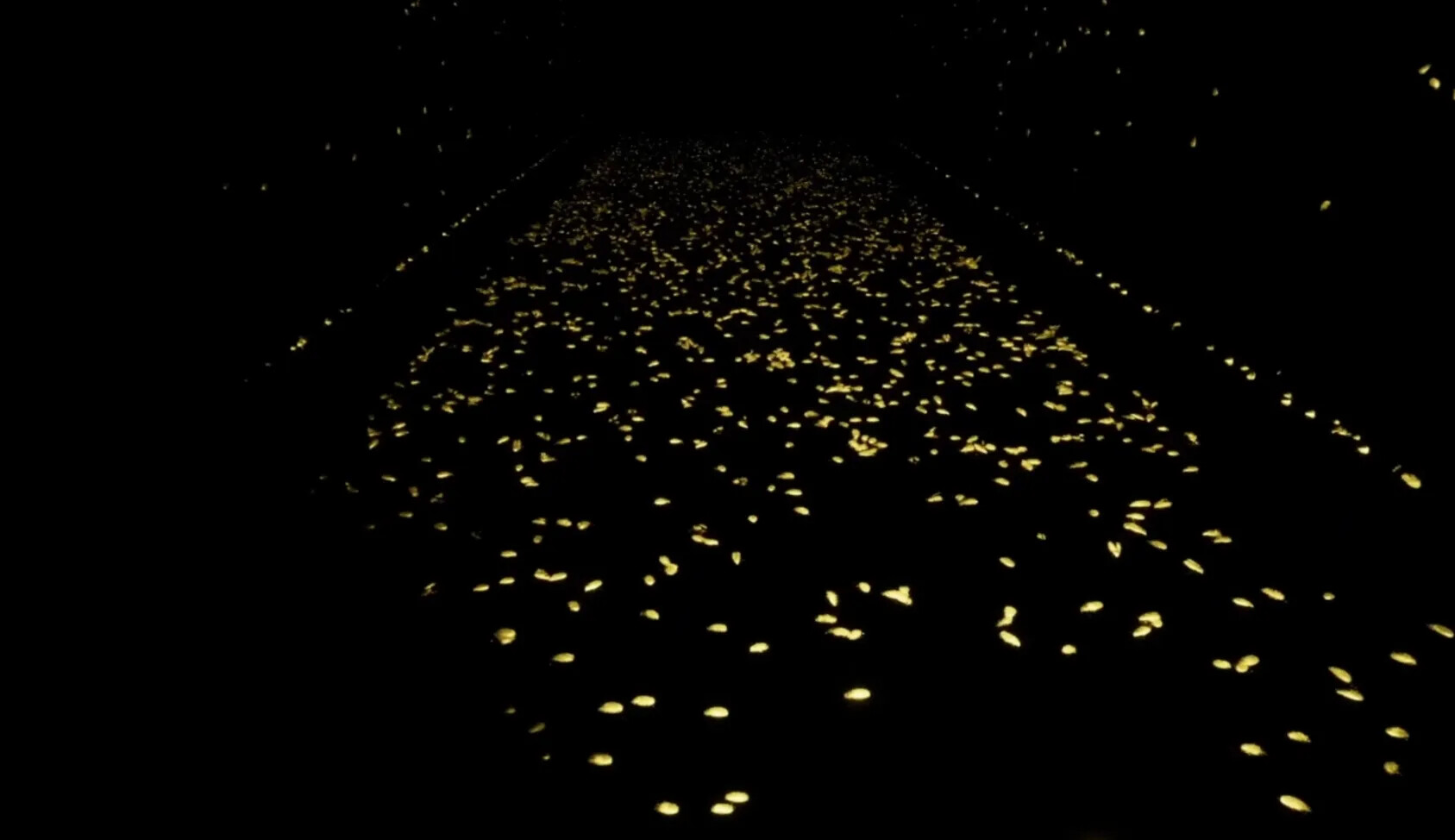 Gallery X screenshot 11