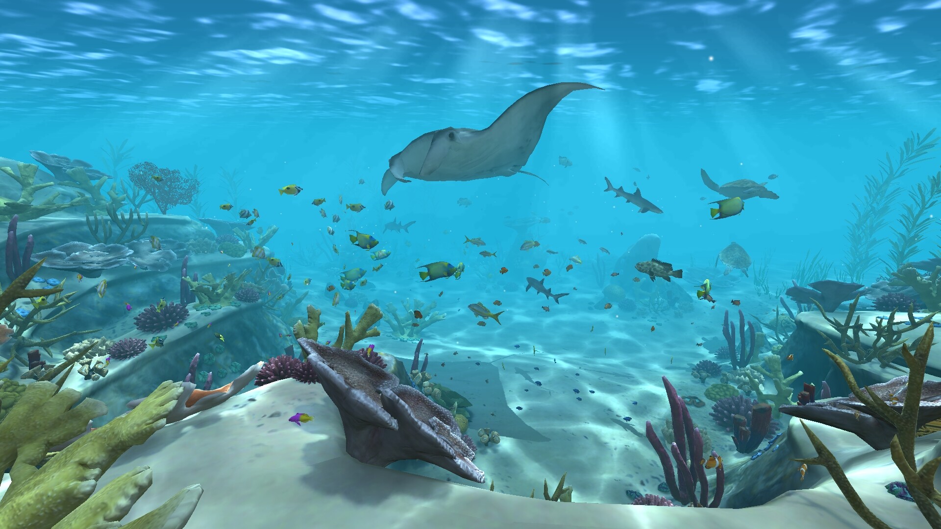 Aqua TV screenshot 1