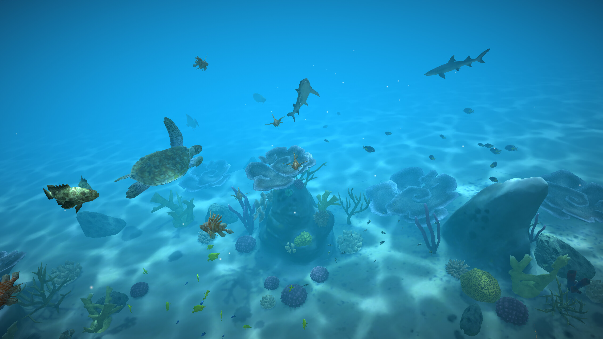 Aqua TV screenshot 7