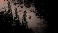Screenshot #15