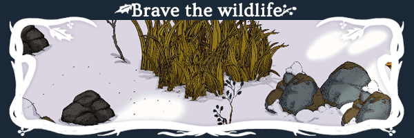 Winter Burrow thumbnail