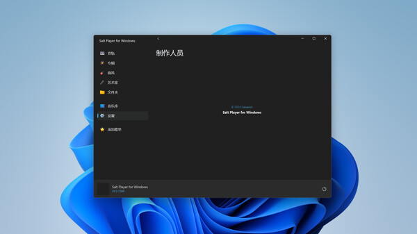 Salt Player screenshot